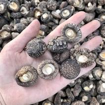 特级厚香菇干货黑面菇金钱菇食用菌原产地种植基地批发