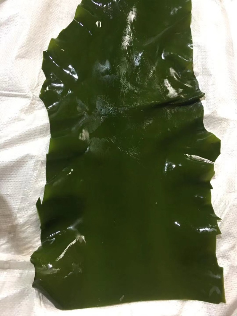 荣成盐渍小块3公分长3公分宽可以订做加工，任你选择尺寸