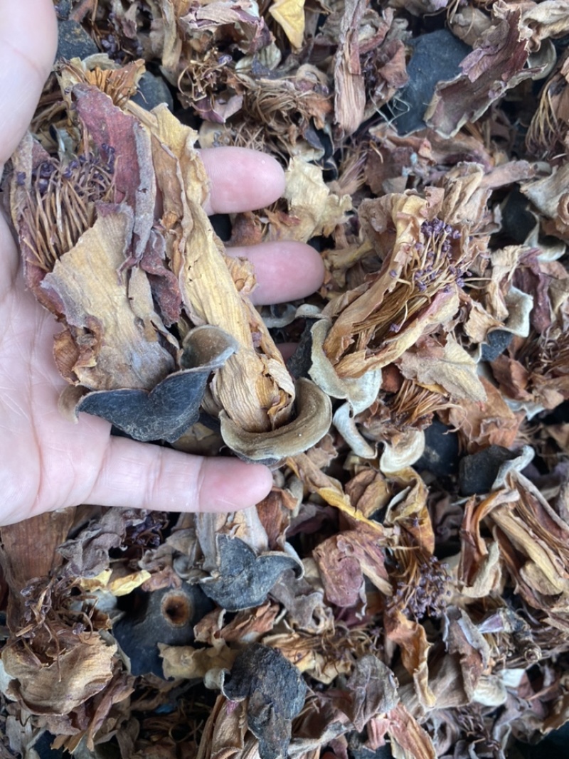 木棉花攀枝花干品木棉花