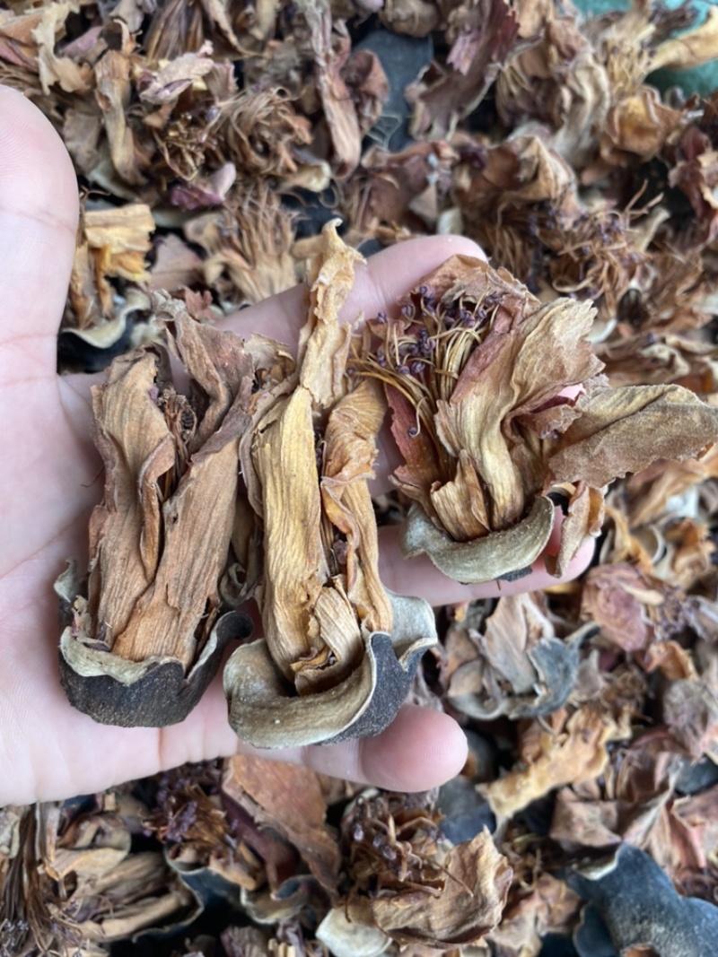 木棉花攀枝花干品木棉花
