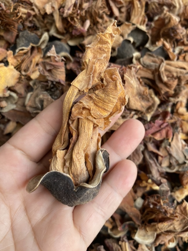 木棉花攀枝花干品木棉花