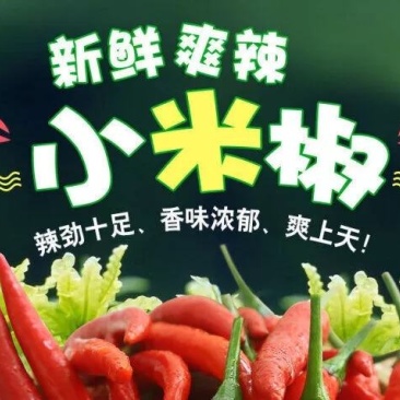 大量供应基地直发广西新苗朝椒天椒红辣椒价格低