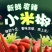 大量供应基地直发广西新苗朝椒天椒红辣椒价格低