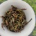 2021凤凰单枞茶新茶上市（炭焙蜜兰香）