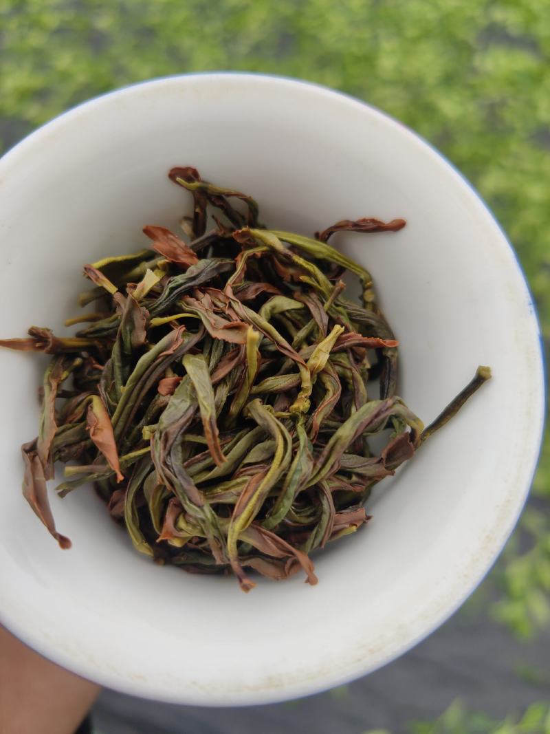 2021凤凰单枞茶新茶上市（炭焙蜜兰香）
