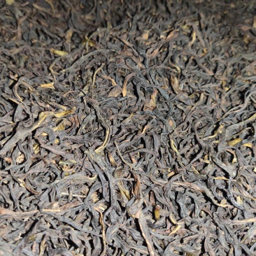2021凤凰单枞茶新茶上市（炭焙蜜兰香）
