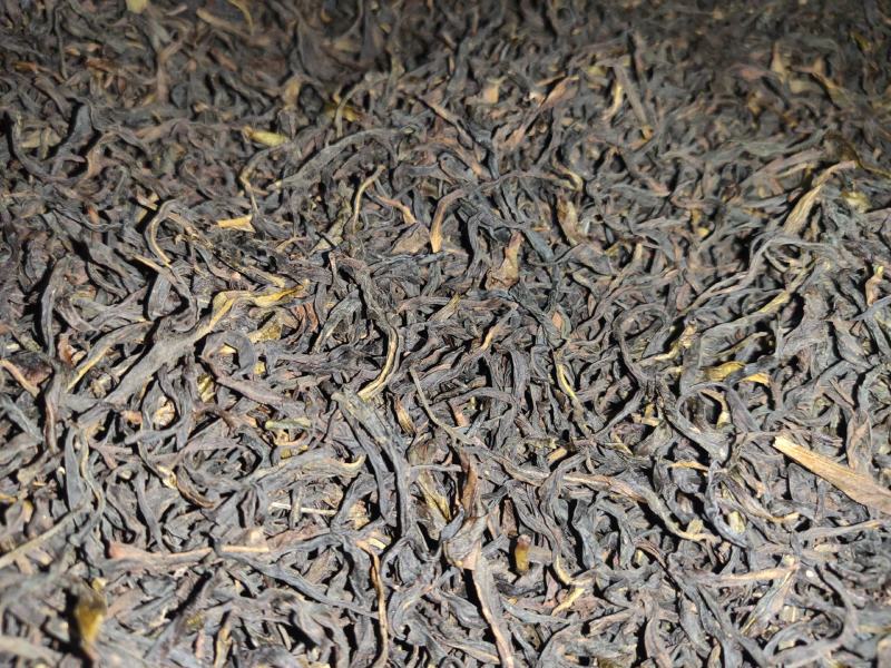 2021凤凰单枞茶新茶上市（炭焙蜜兰香）