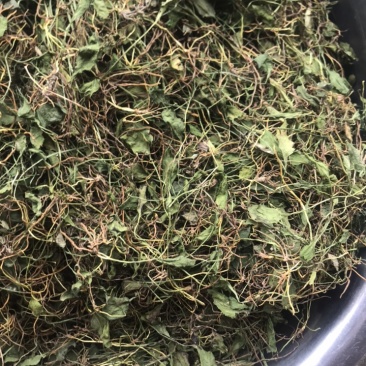 一支箭干货