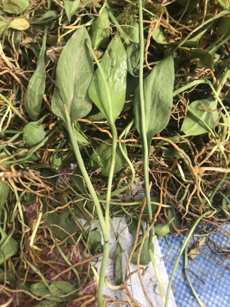 一支箭干货