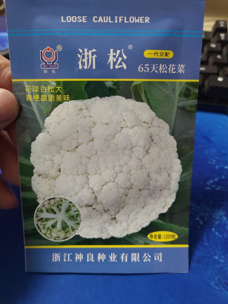 一代交配，神良松花菜种子