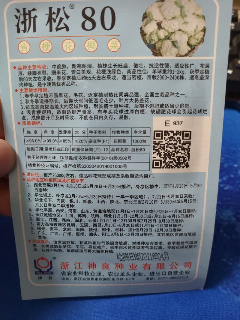 一代交配，神良松花菜种子