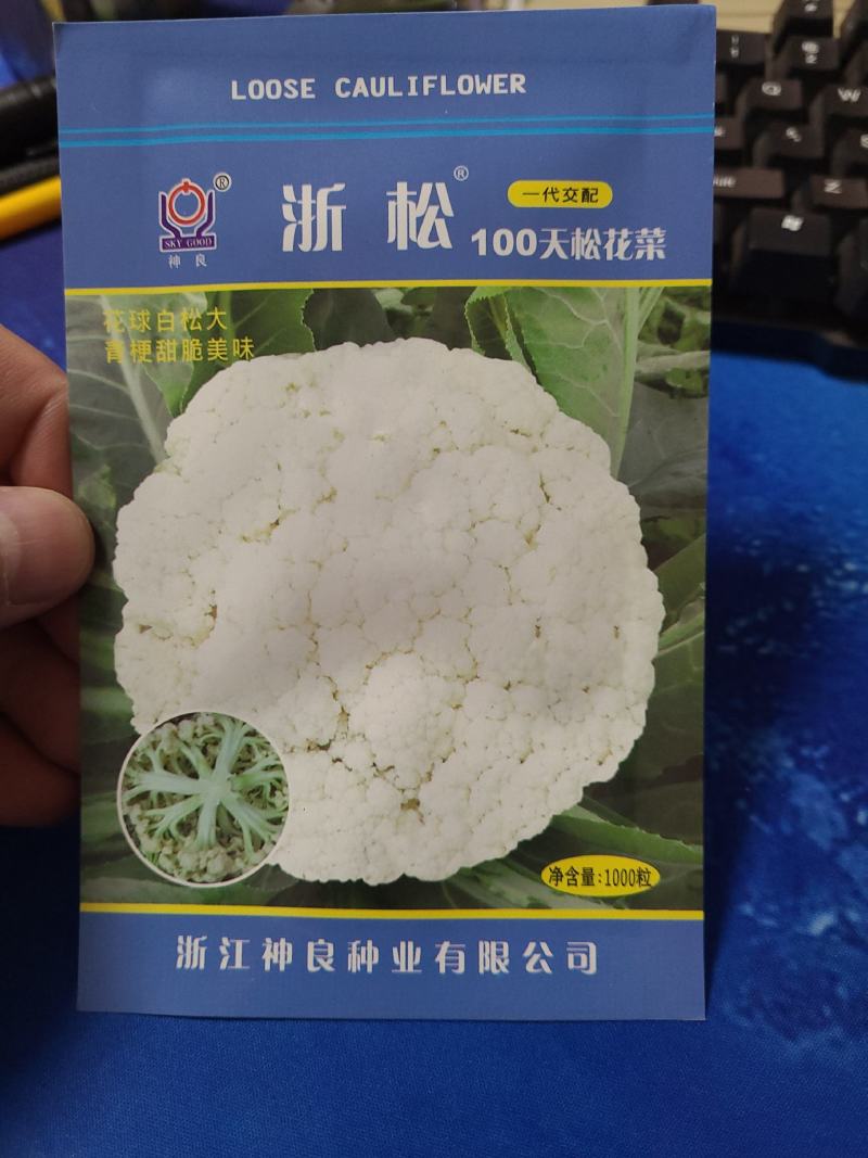 一代交配，神良松花菜种子