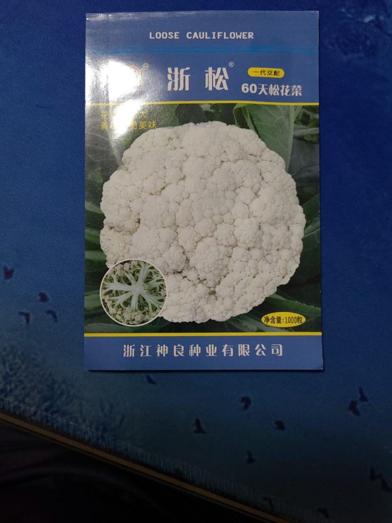 一代交配，神良松花菜种子