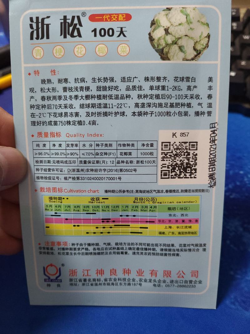 一代交配，神良松花菜种子