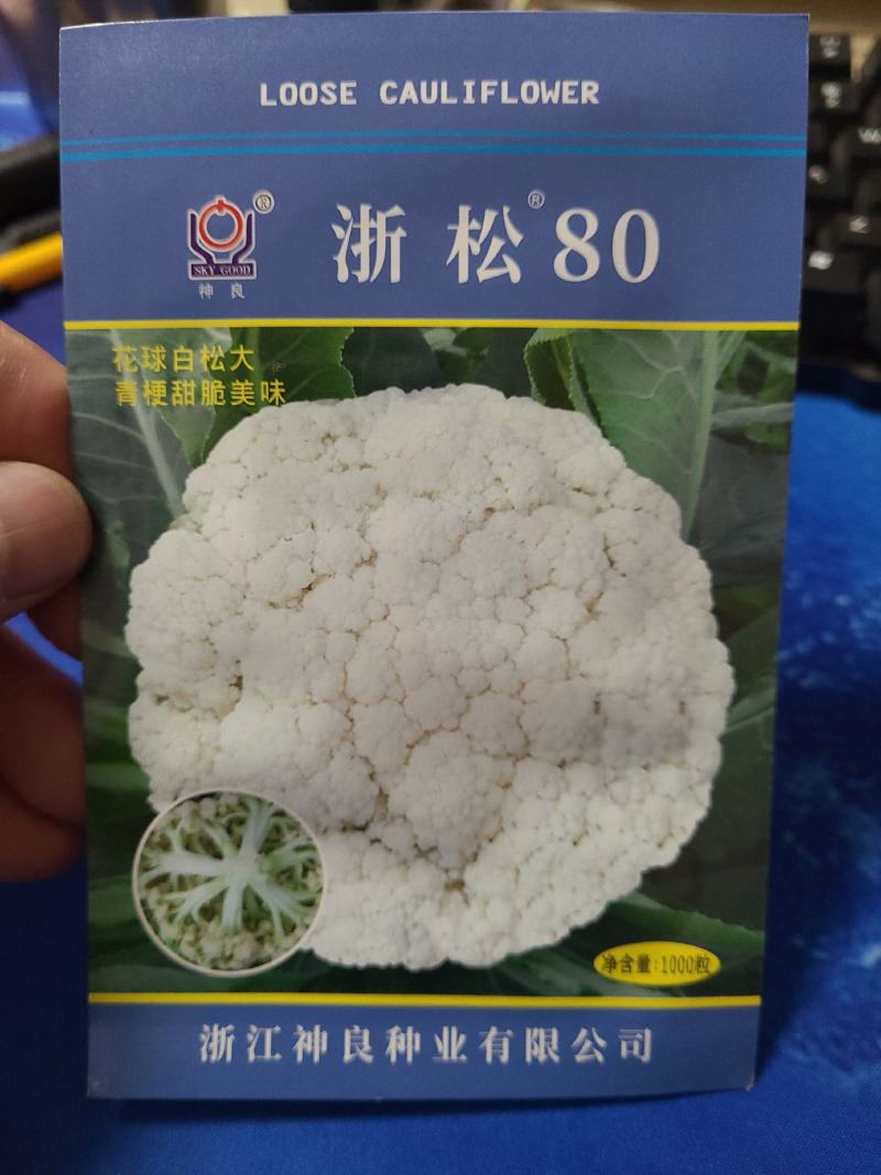 一代交配，神良松花菜种子