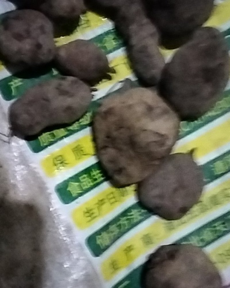 三叶青野生三叶青正品鲜货金线吊葫芦