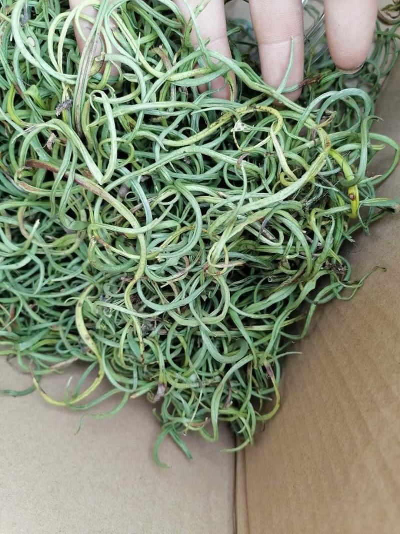 西藏化石草-小叶肾精茶-高品质新货-一斤起发全国包邮