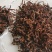 老绍兴梅干菜，天然发酵味道醇厚，还原原始的味道。