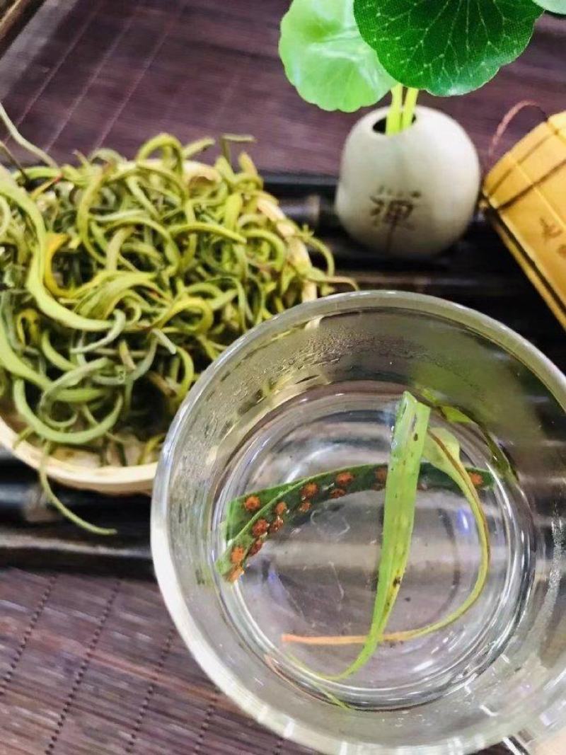 西藏化石草-小叶肾精茶-高品质新货-一斤起发全国包邮