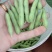 元谋毛豆大量上市