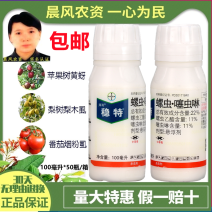 德国拜耳稳特螺虫乙酯噻虫啉烟粉虱白粉虱木虱农药杀虫剂