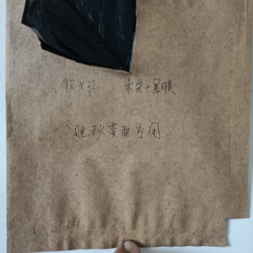 晚秋黄梨专用，5千/袋，高放水，18*22木浆纸黑膜
