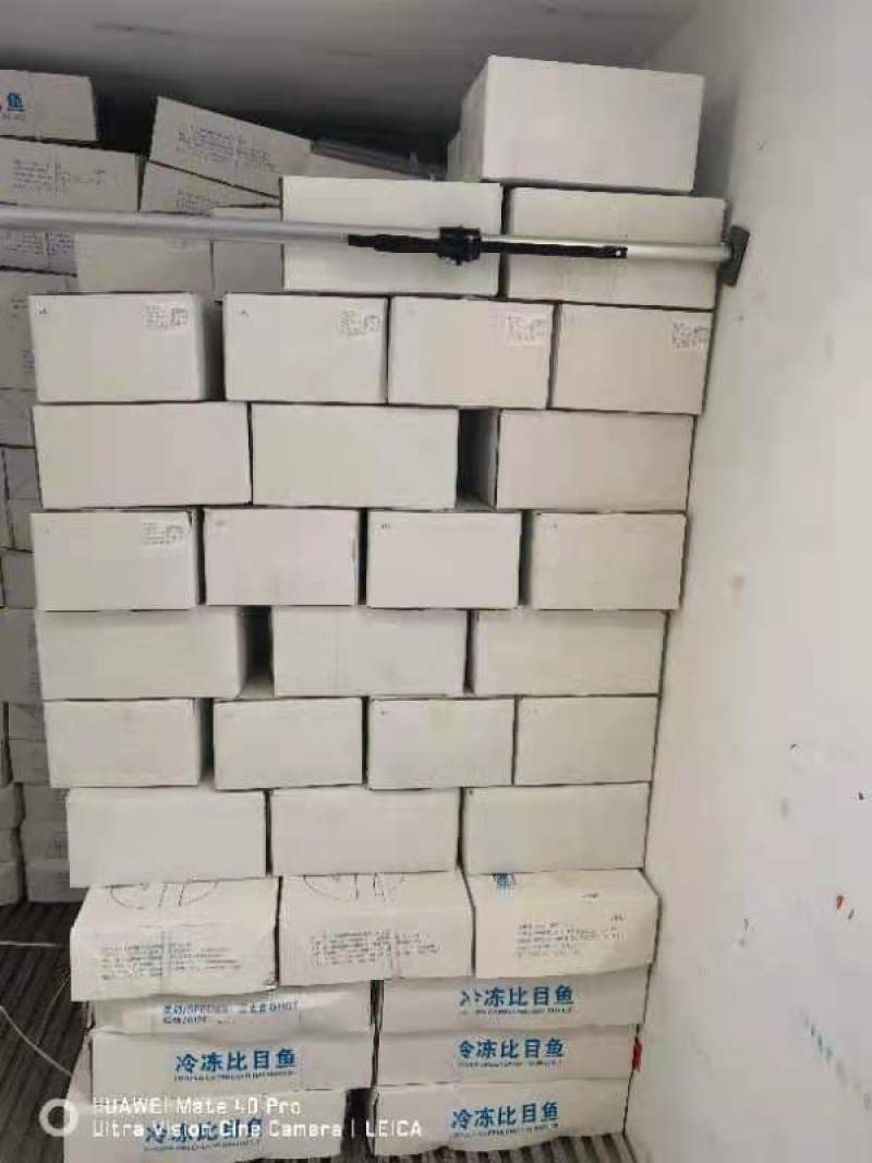 脆口高品质八爪鱼单冻切段产地直供货源充足欢迎咨询