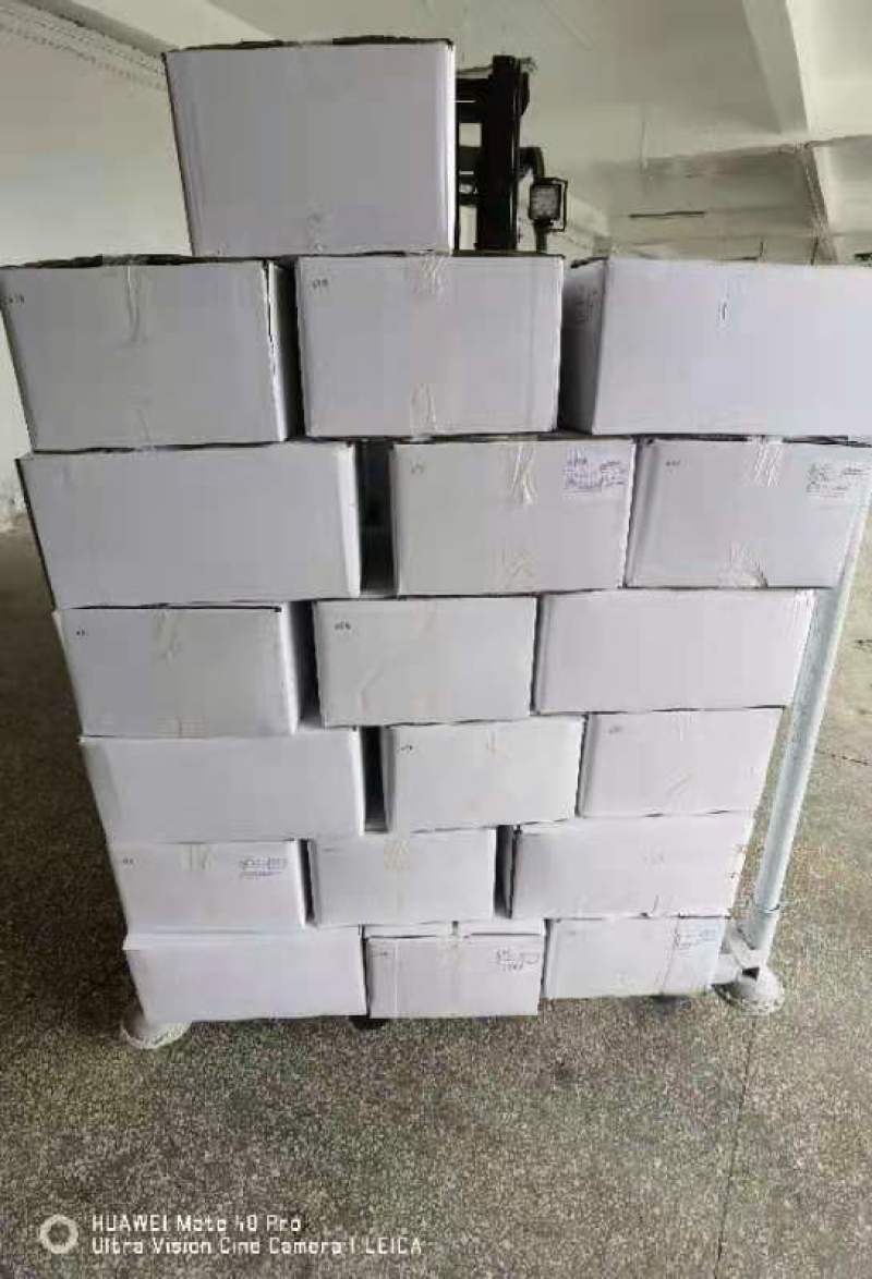 冷冻单冻小章鱼段，脆口八爪鱼、翻花小章鱼