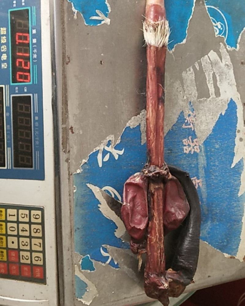 牛鞭牛鞭片一件包邮东北长白山鹿鞭整条干货泡酒可打粉