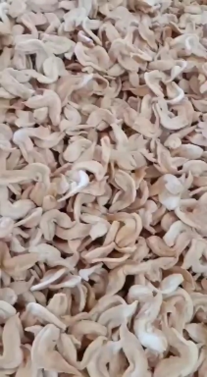 豆制品，素鸡翅，人造肉自产自销，量大价优蛋白肉
