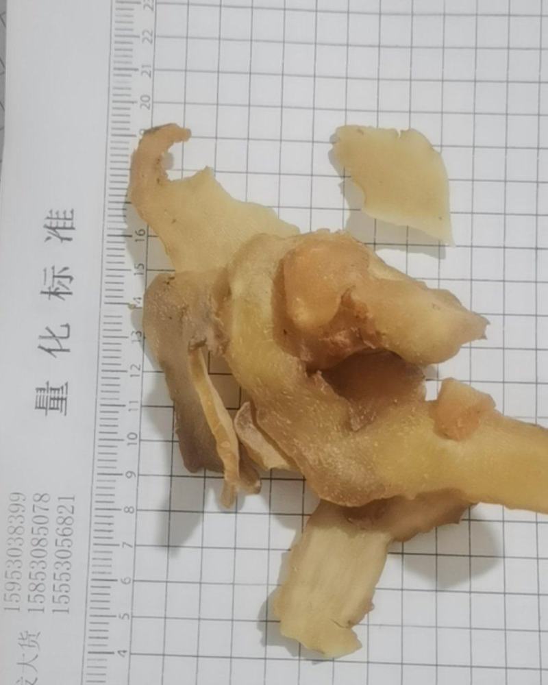 黄精无硫新货黄精产地直销重在品质泽润中药