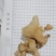 黄精无硫新货黄精产地直销重在品质泽润中药