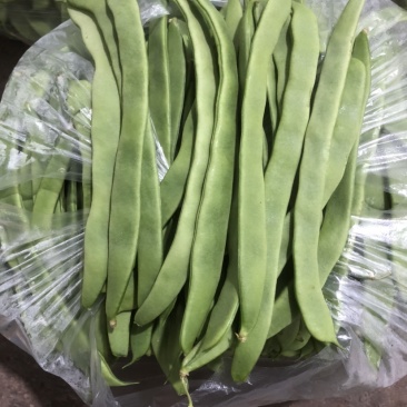 徐州芸豆，物美价廉，货源充足，欢迎老板选购！