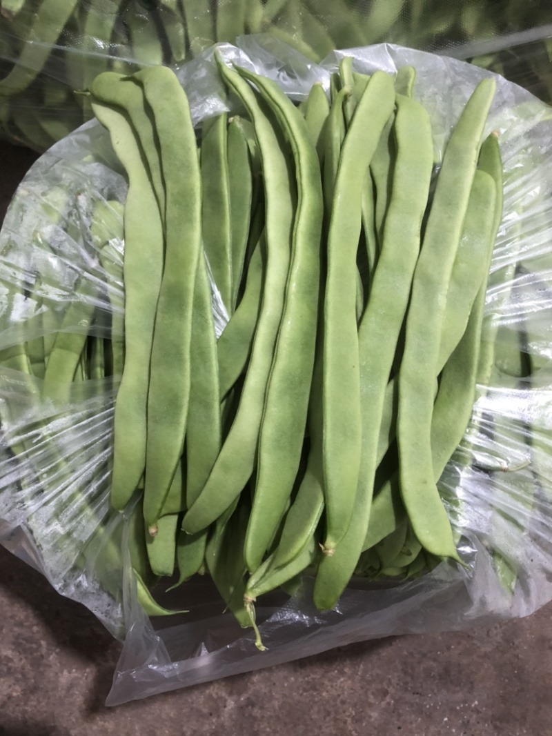 徐州芸豆，物美价廉，货源充足，欢迎老板选购！