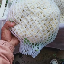 精品有机花菜，青梗白面个头均匀，欢迎顾客来电咨询