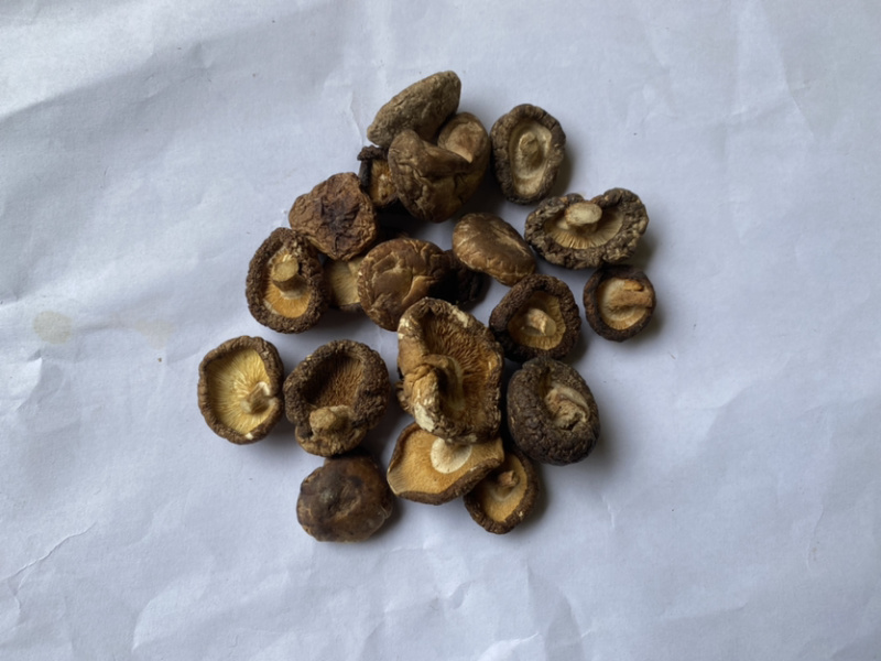 广西瑶山椴木剪脚后野生小香菇干250g装