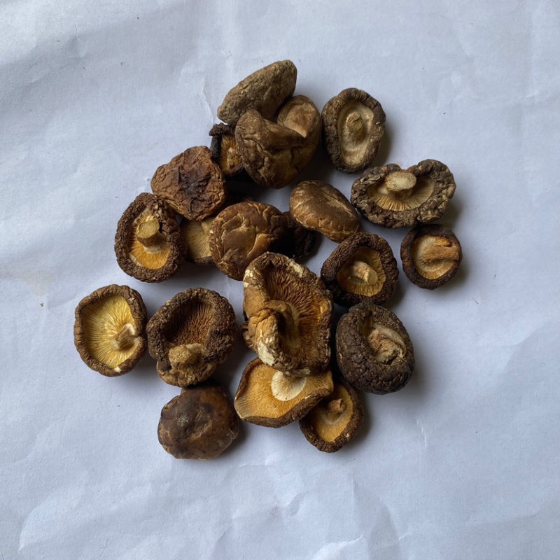广西瑶山椴木剪脚后野生小香菇干250g装