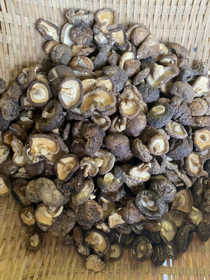 广西瑶山椴木剪脚后野生小香菇干250g装