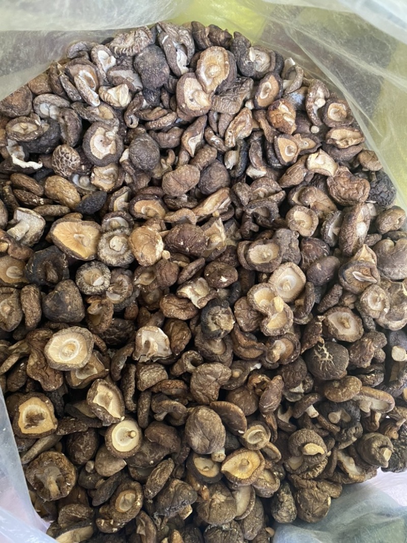广西瑶山椴木剪脚后野生小香菇干250g装