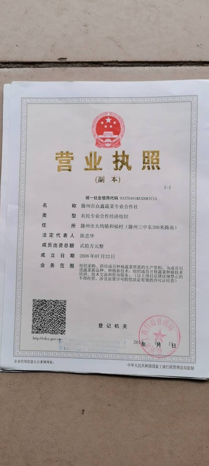 山东葱苗大葱苗铁杆大葱苗精品葱苗产地直销成活率高