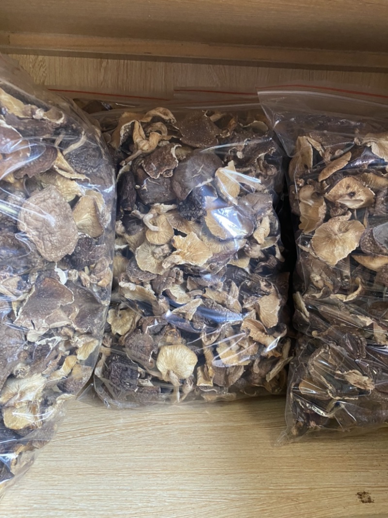 广西深山野生椴木香菇干，熏干500g装！临省可以包邮