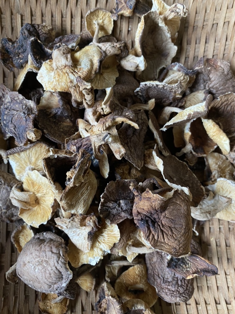 广西深山野生椴木香菇干，熏干500g装！临省可以包邮