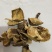 广西深山野生椴木香菇干，熏干500g装！临省可以包邮