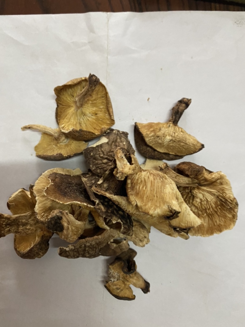 广西深山野生椴木香菇干，熏干500g装！临省可以包邮