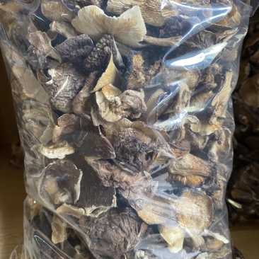 广西深山野生椴木香菇干，熏干500g装！临省可以包邮