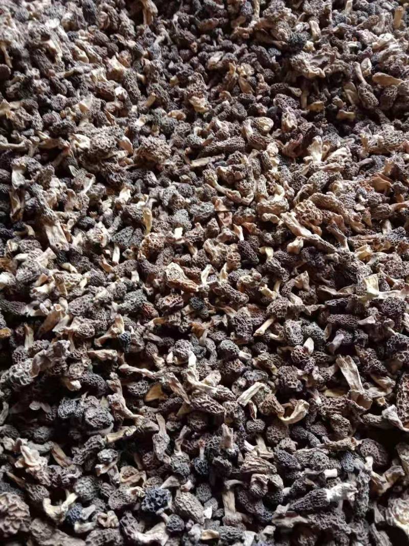 纯野生羊肚菌买家验货不满意快递员在场随时退货快递费自理