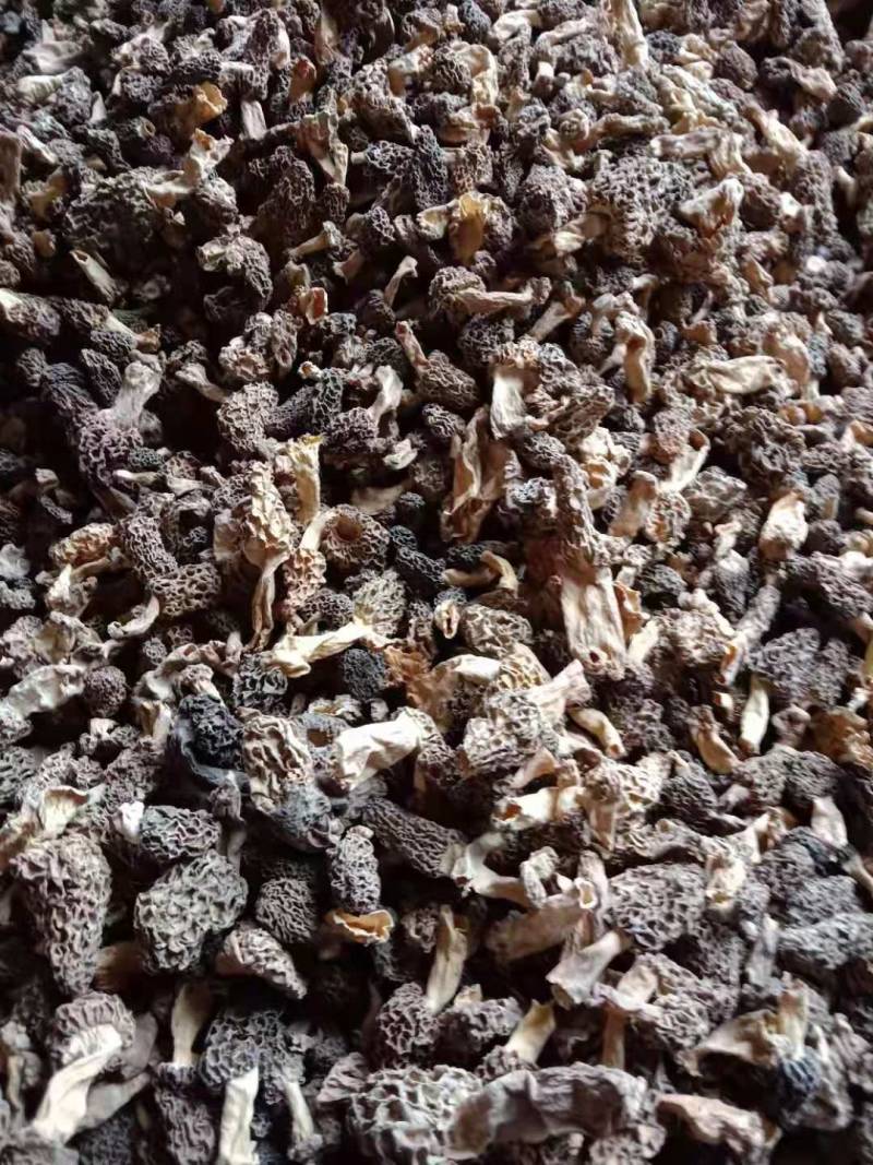 纯野生羊肚菌买家验货不满意快递员在场随时退货快递费自理