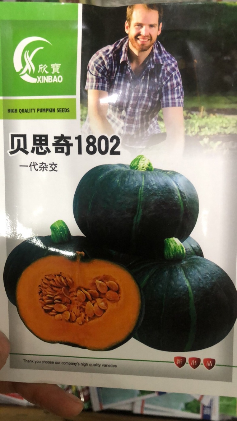 河南（高产抗病）贝贝南瓜种子禧贝贝南瓜种子贝思奇F1蜜贝2号