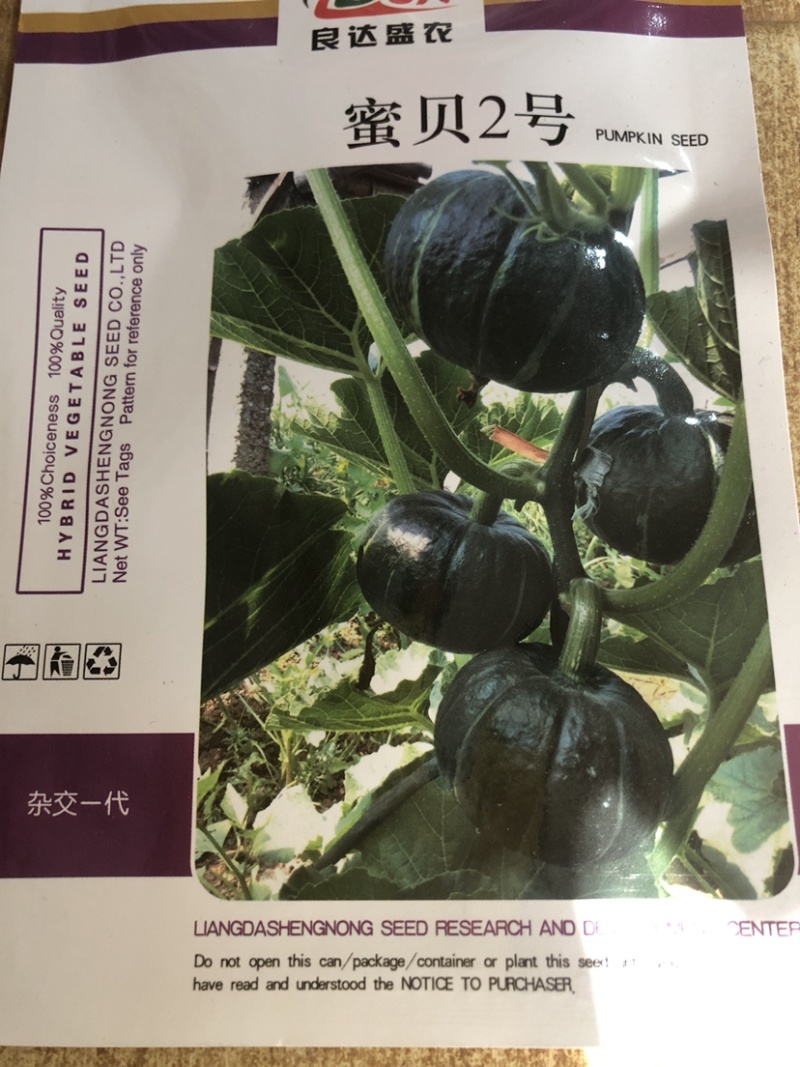 河南（高产抗病）贝贝南瓜种子禧贝贝南瓜种子贝思奇F1蜜贝2号