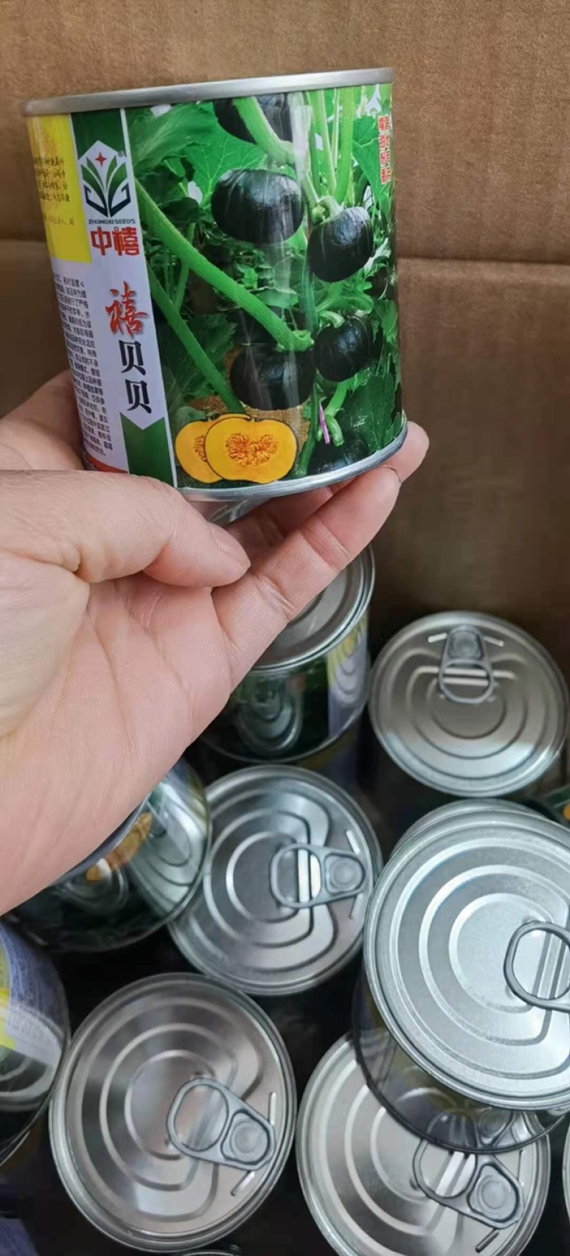 河南（高产抗病）贝贝南瓜种子禧贝贝南瓜种子贝思奇F1蜜贝2号